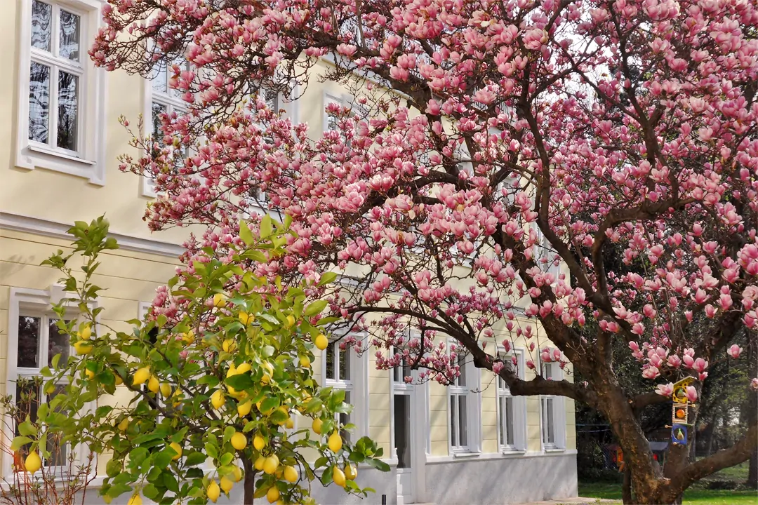 Unser Yogastudio in Wien